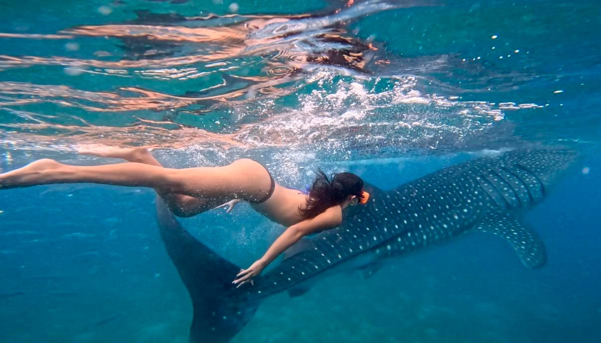 The Simala Church in Cebu